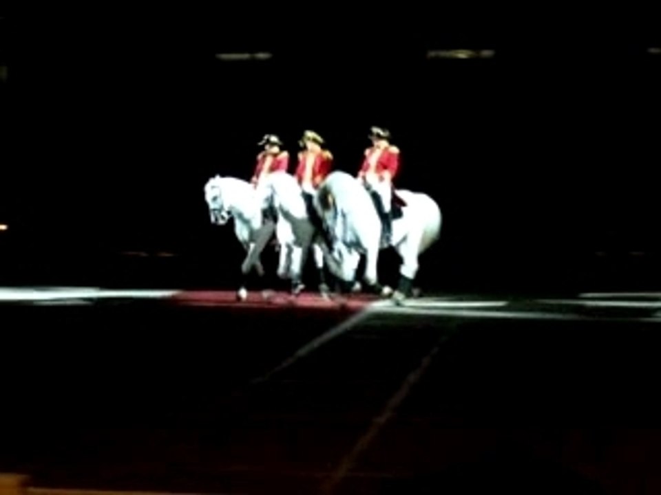 Lipizzaner Pas de Trois