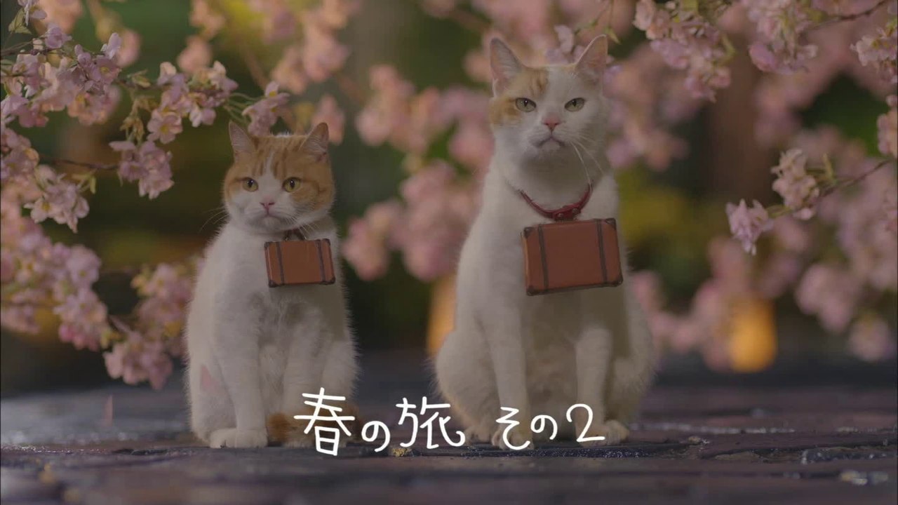 にゃらん「春の旅その2」CM15秒x2