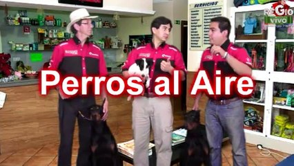 EL GRAN ESPACIO DE GENTE PEQUEÑA 28 DE FEB DE 2014 PT1