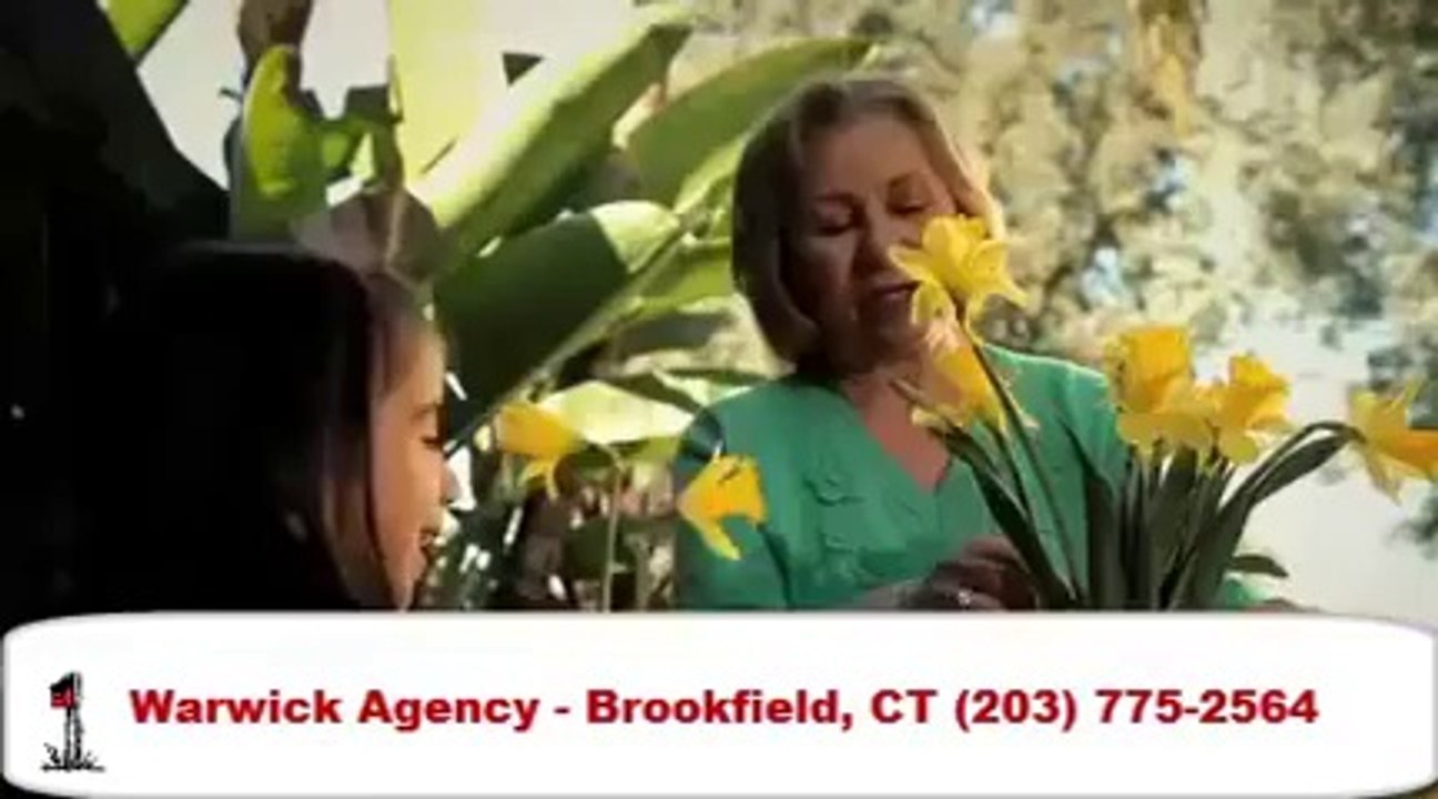 Warwick Agency | Brookfield CT | Personality of Centenarians