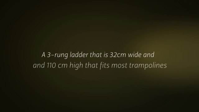 Get a Sturdy and High-Quality Trampoline Ladder | 1 300 985 008