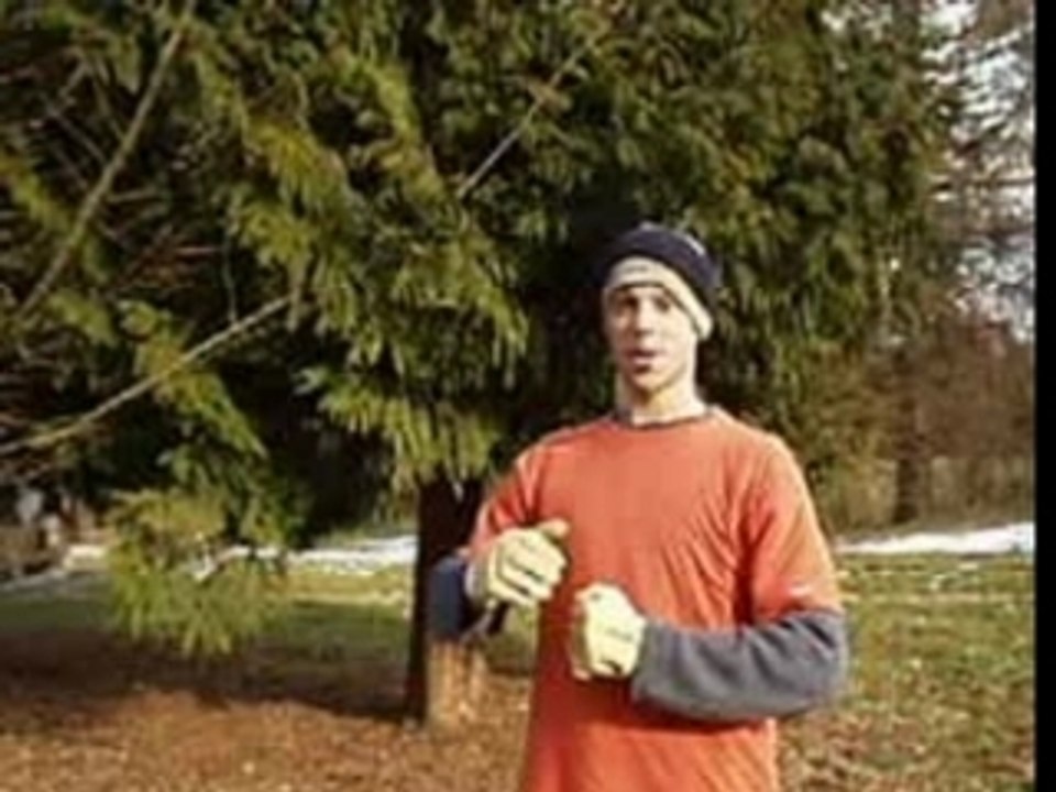 Le gland tombe quand il est mûr