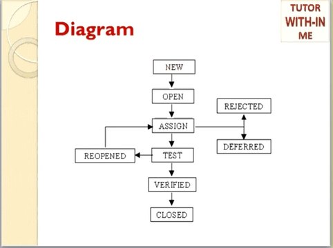 Software Testing - Defect/Bug Life Cycle - Complete Flow Chart of Defect States