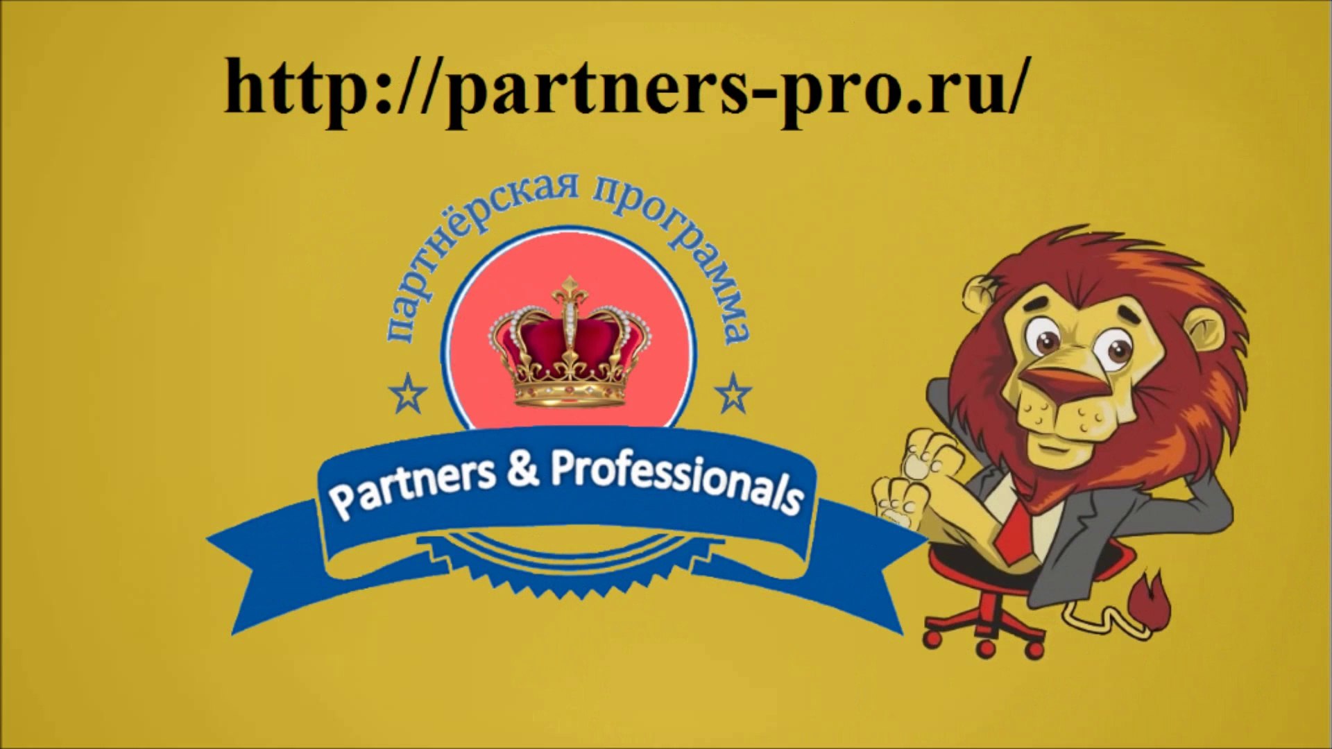 Партнёрская программа профессионалов