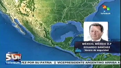 Ex funcionario de la DEA: "El Chapo" financió campaña de Peña Nieto