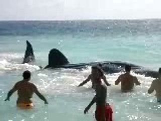 Prank Call To Sweety Bengali Aunty