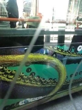 Le Tramway De Montpellier , de Tonnelles à Pérols Etang De L'or