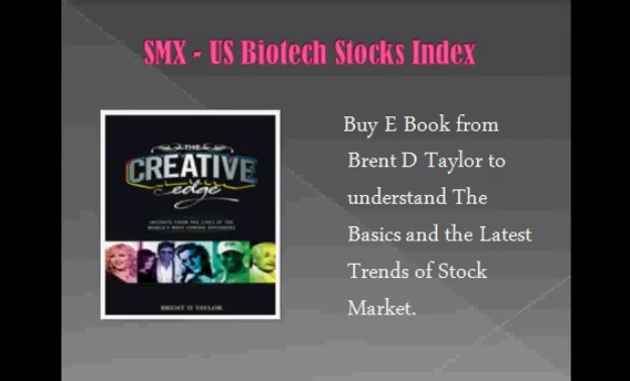 Stock Market Examiner