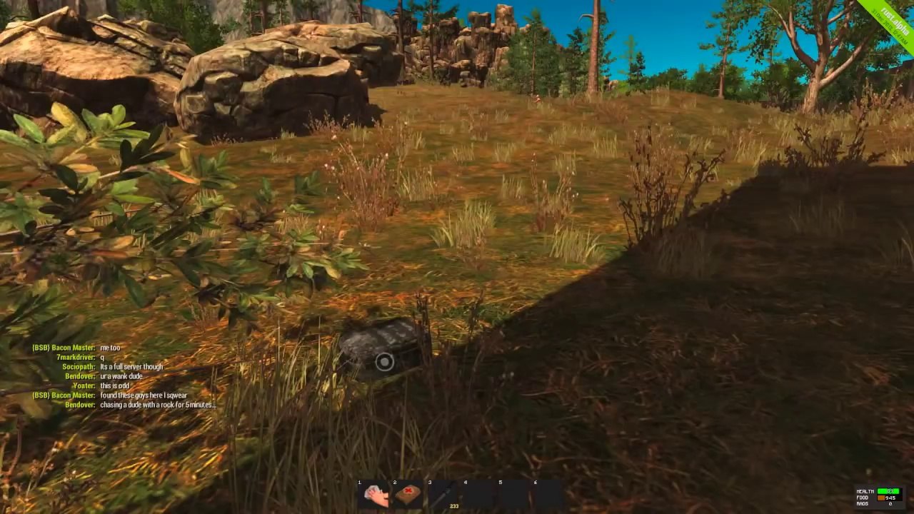 Rust Interviews