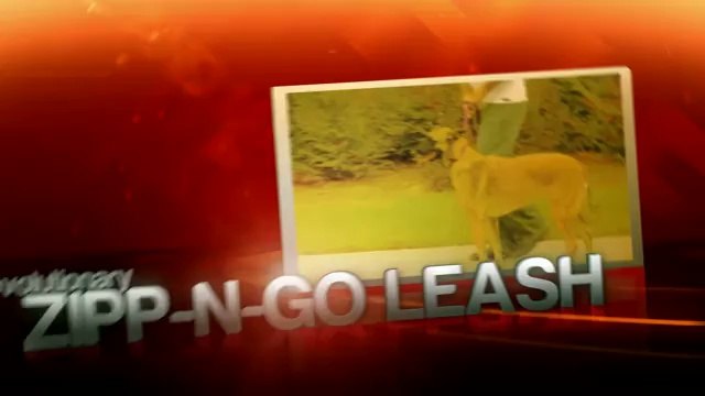 Best Dog Leashes Available Online