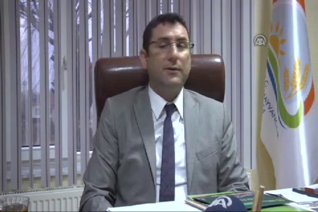 Türkiye kuraklığa dayanıklı "hububat" yetiştiriyor