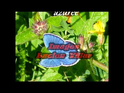 Présentation 40 ans 2eme partie