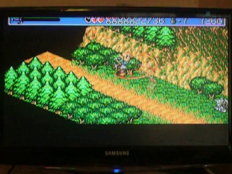 Landstalker -10 L Antre de la Sorciere