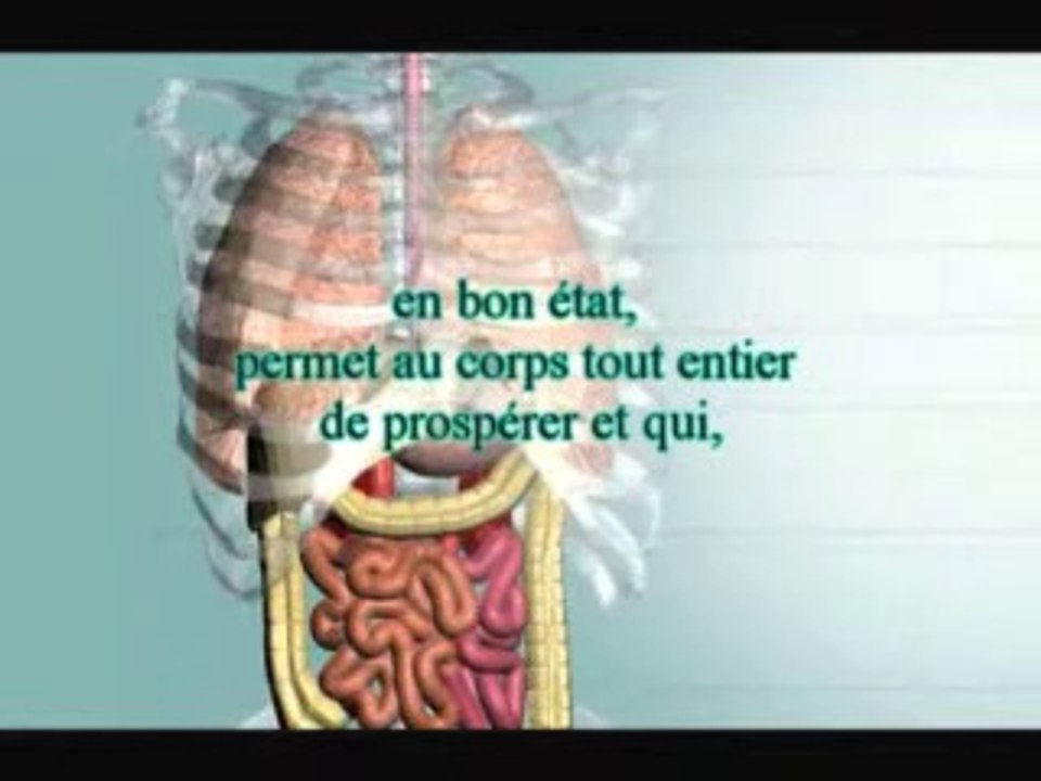 Hadith 06 - Le licite et l'illicite