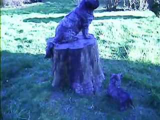 toujours le petiot avec son bâton