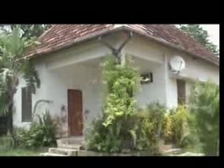 VINCENT LE ZAZAM's (aza tia raha )