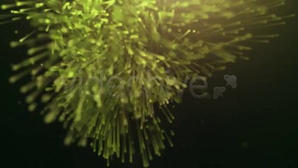 Organic Particles Logo Reveal II