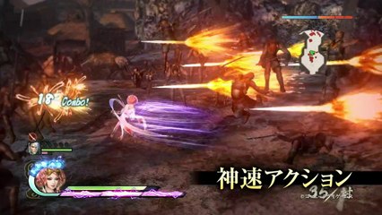 Samurai Warriors 4 - System