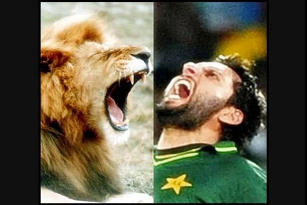 Shahid Afridi's Favourite BUNNY of All Time Team India