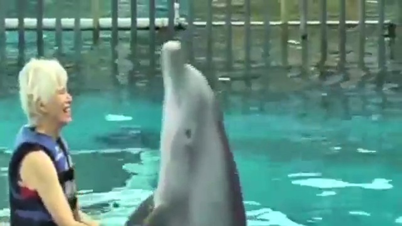 A Dolphin's Love and a Killer's Hate