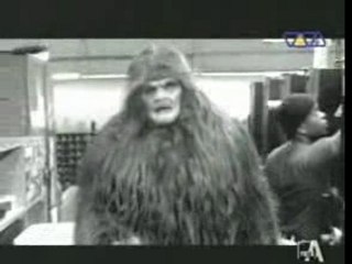 The Divine Comedy - Bad Ambassador