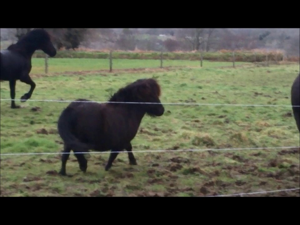 En forme !!!