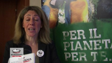 Malagrotta, il WWF denuncia: "Se c'è inquinamento, qualcuno dovrà pagare"