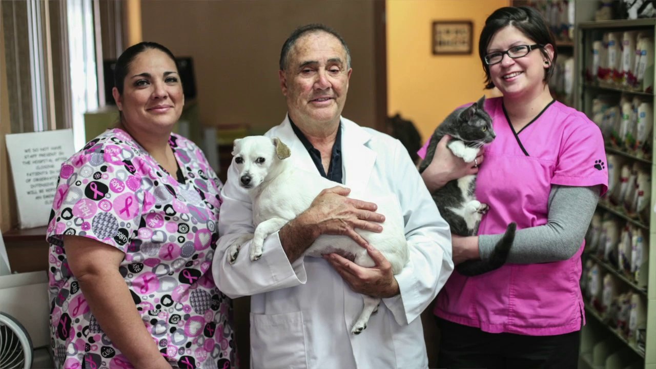 Welcome to Temple Heights Animal Hospital