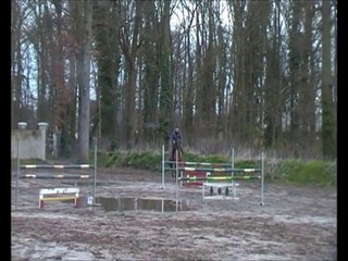 Poney  D 7ans par MOONLIGHT BERENGER