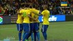 Brazil vs South Africa 4-0 All Goals & Full Highlights ( Friendly Match ) 05-03-2014 HD