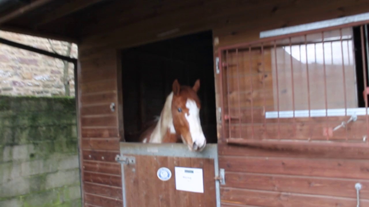 Spirit at Reinhill 4 mars 2014