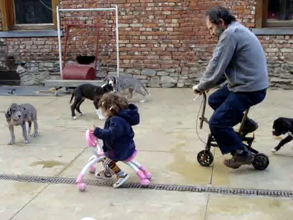 Un super Papy, Esteban, Mila et les chiots du Soleil de Yana