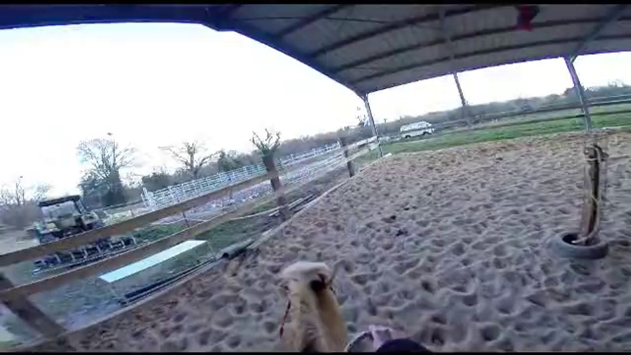 Riding Chicco in ropehalter and one rope! :) February 2014