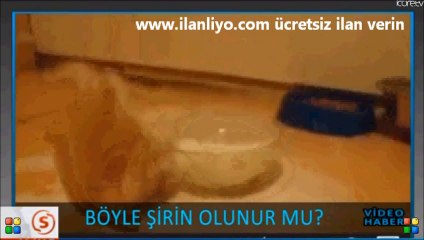 Böyle Şirin Olunur Mu 2