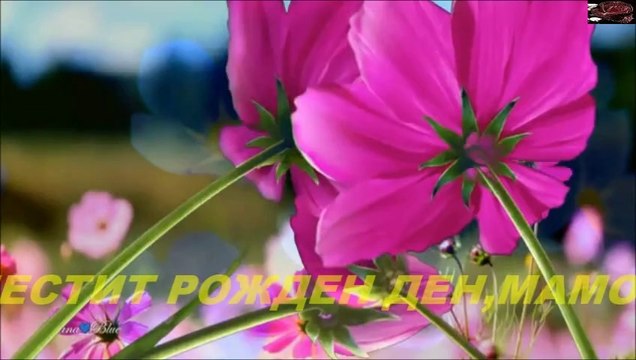 ЧЕСТИТ ПРАЗНИК МАМО!