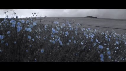 HEIMAT 1 - Chronique d'un rêve ( bande annonce VOST )