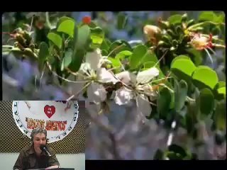 Radio Brazos Abiertos Hospital Muñiz Programa Cultura y Salud 5  de Marzo (2)