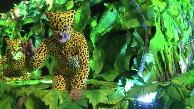 Carnival crown to samba champions Unidos da Tijuca