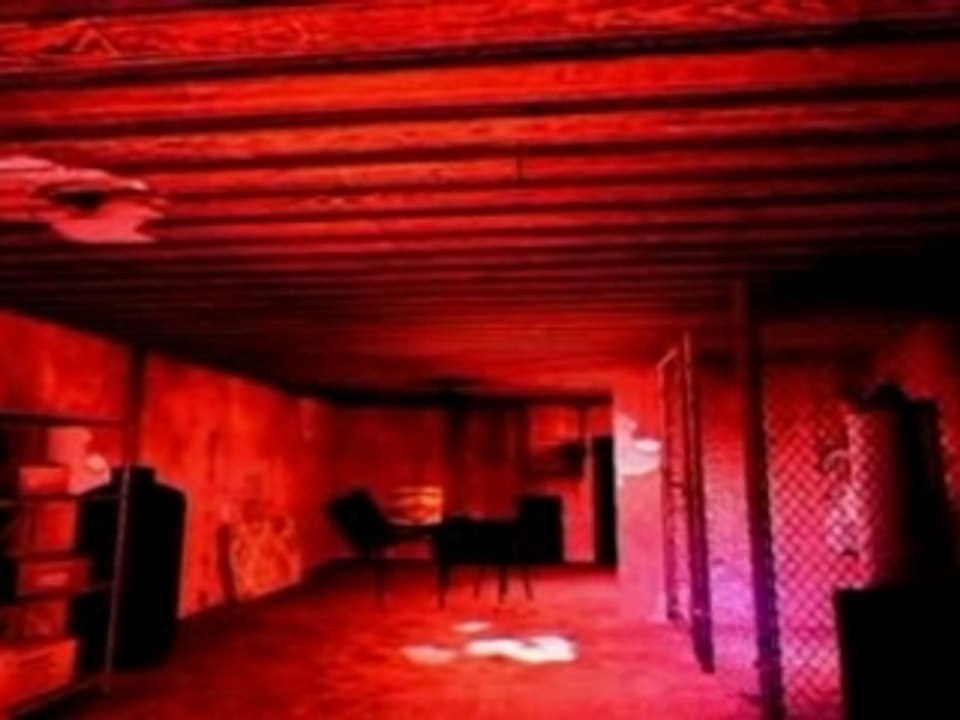 LastPerson_in-game.divx