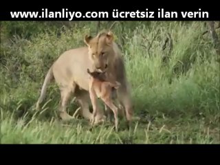 Gözlerinize İnanamayacaksınız! (Kesinlikle İzleyin)