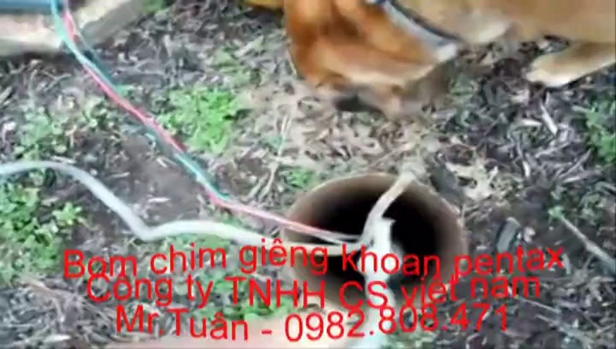 gieng