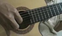 HÀ NỘI MÙA VẮNG NHỮNG CƠN MƯA - Guitar Solo, Arr. Thanh Nhã