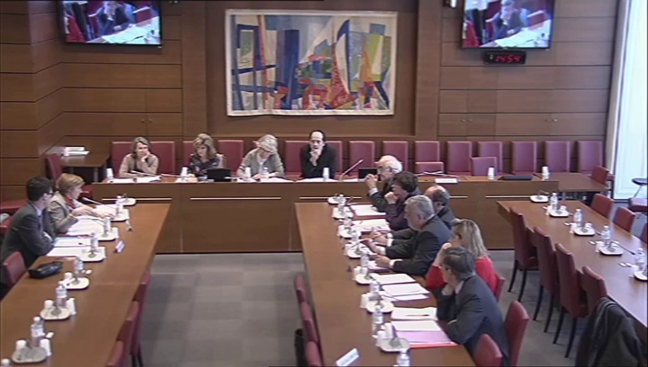 Mme Joëlle Massoni, Chef du bureau CF1, à la DGFP - Mercredi 5 Mars 2014