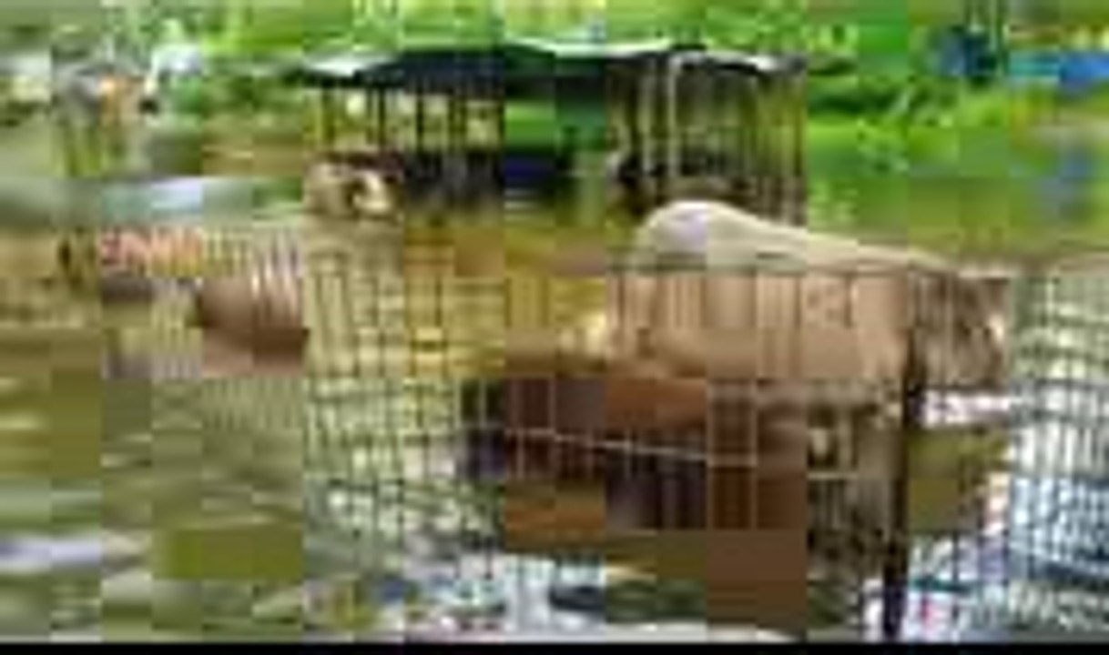 BBC THE TRUTH ABOUT CLIMATE CHANGE PART 1