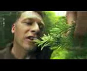 BBC Documentary -  The Magical Forest (HD)