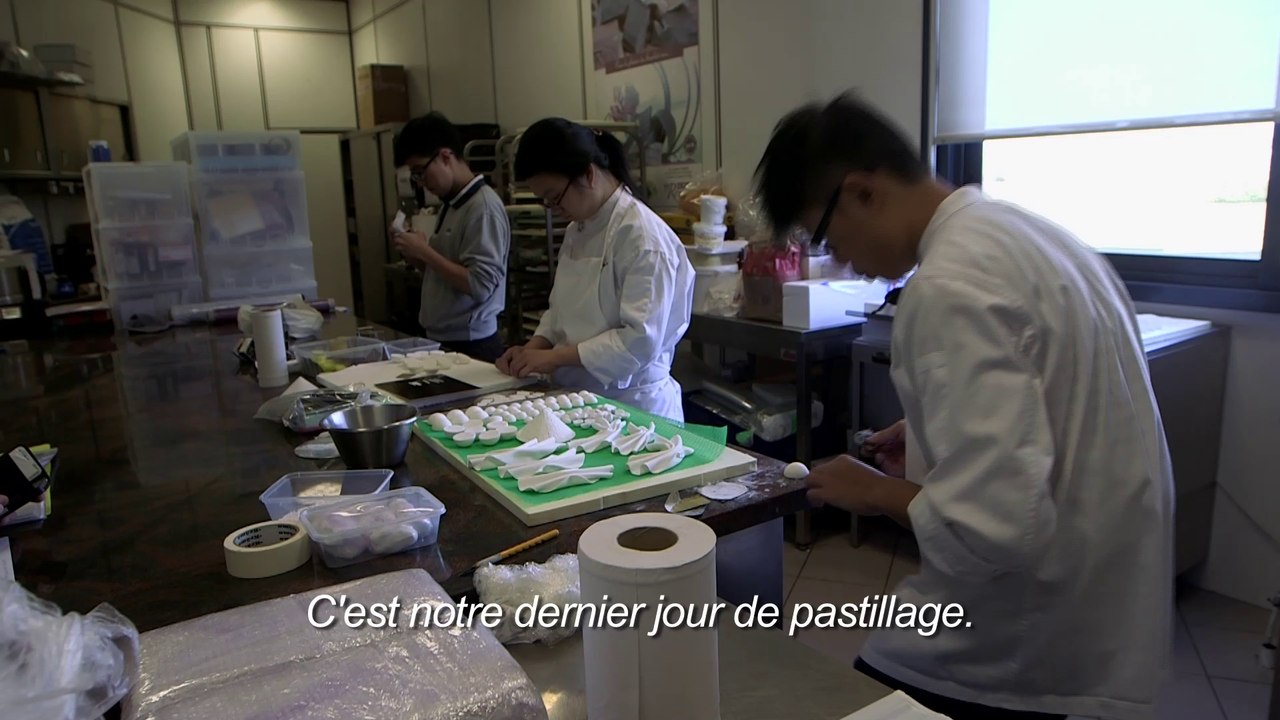 Equipe de Singapour - portrait de l'équipe
