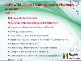 Sap bi@bw online training in  USA,UK-free demo classes