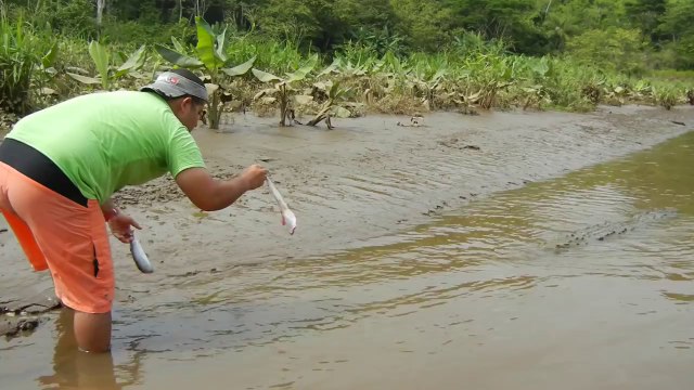 Un homme donne à manger par la bouche à un crocodile