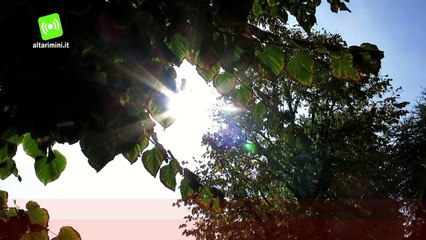 Rimini  Meteo  Arrivano 10 giorni di primavera