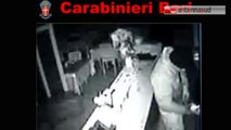 TG 04.03.14 Altamura: furto con scasso in ristorante, le telecamere inchiodano ladro